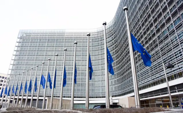 Flags in Brussels