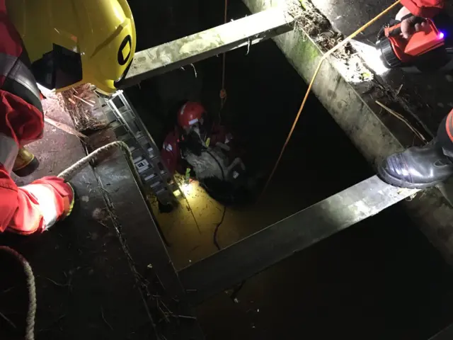 Dog and owner being rescued