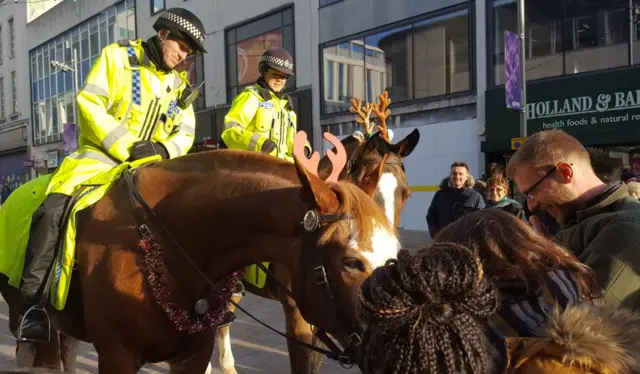 Police horses in antlers