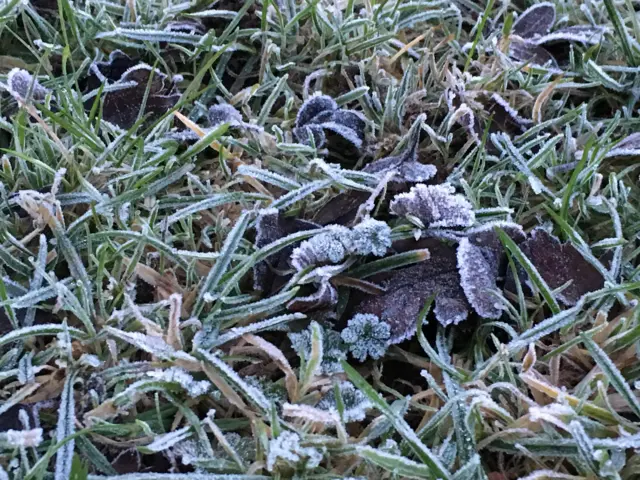 Frost on the ground