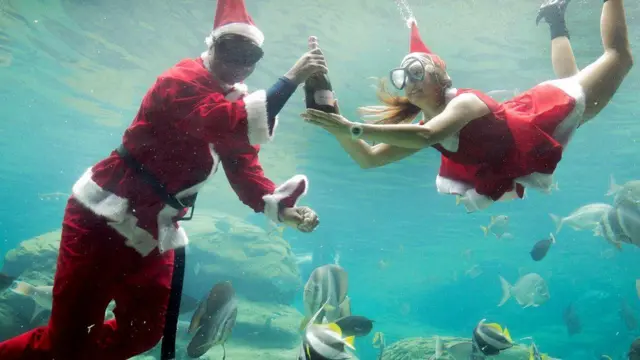 two workers, dressed as Santa Claus, swimming in a fish tank during a show at a marine theme park in South Africa's Durban city