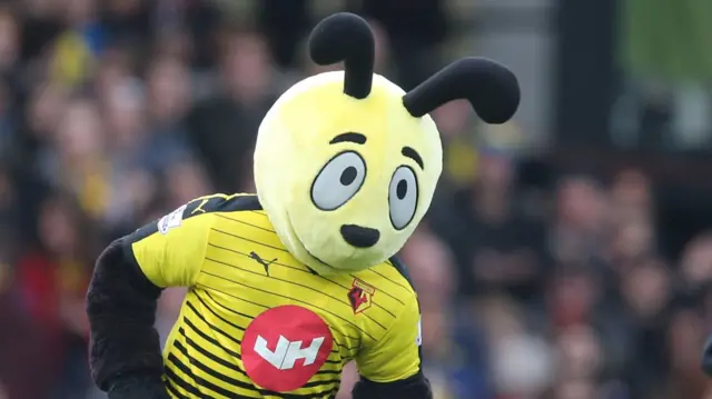 Harry the Hornet