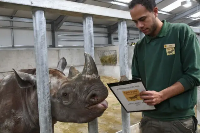 Staff with a rhino.