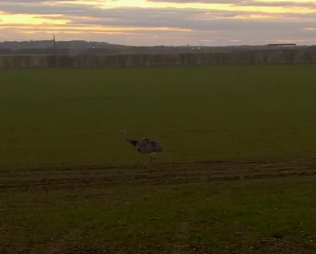 BBC Local Live In Beds, Herts & Bucks, Cambridgeshire and Northants