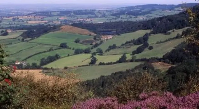 N Y Moors