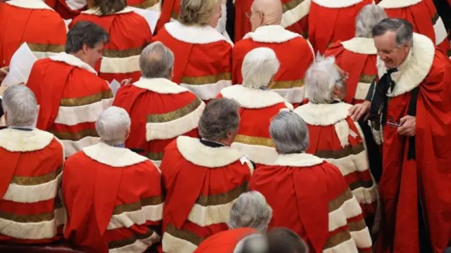 Peers wait in the Chamber of the House