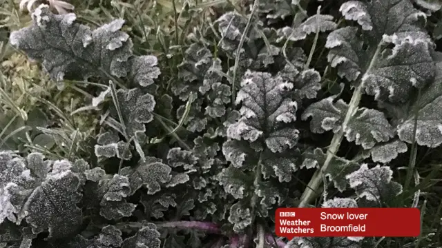 Broomfield