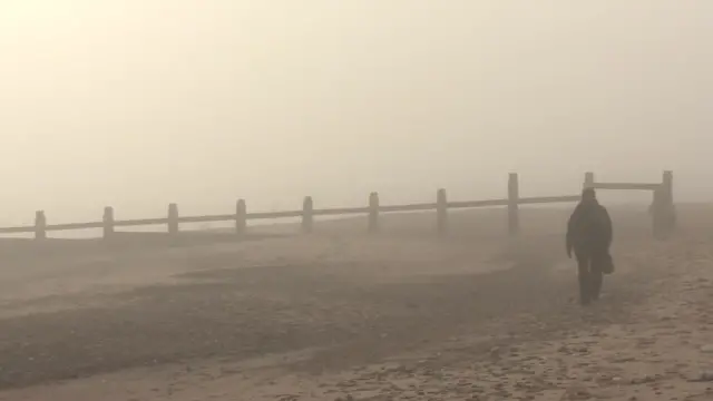 Dawlish groynes