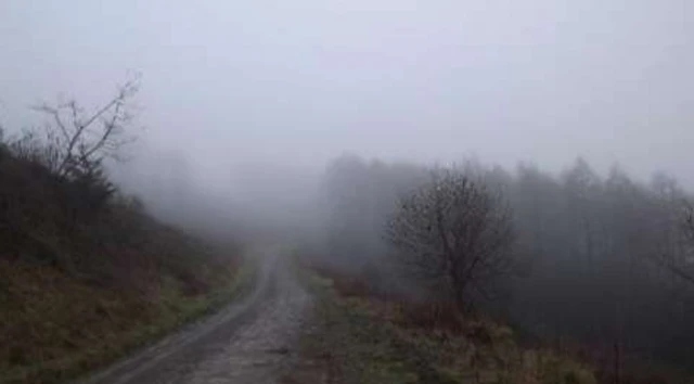 Fog in Shropshire