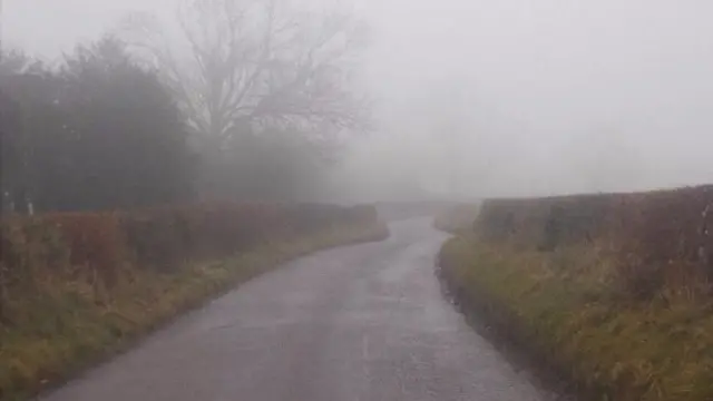 Misty road