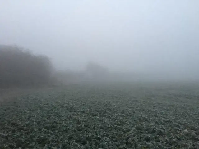 Fog and frost in Leven