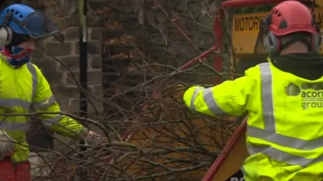 Tree felling on Rustlings Road