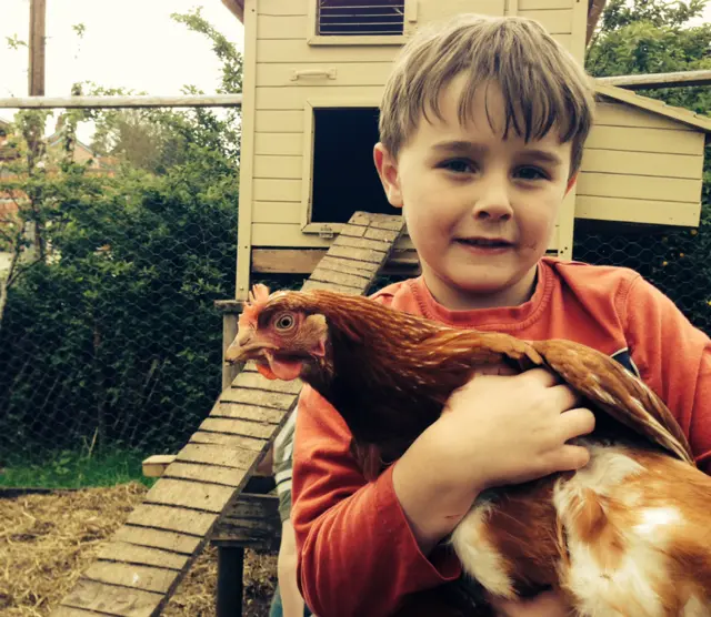 Small boy holding chicken