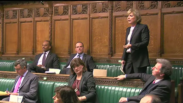 Anna Soubry