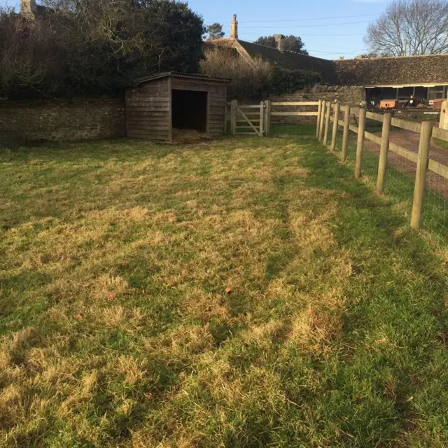 Paddock where the sheep were kept