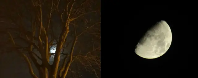 Moon behind a tree and moon in the sky