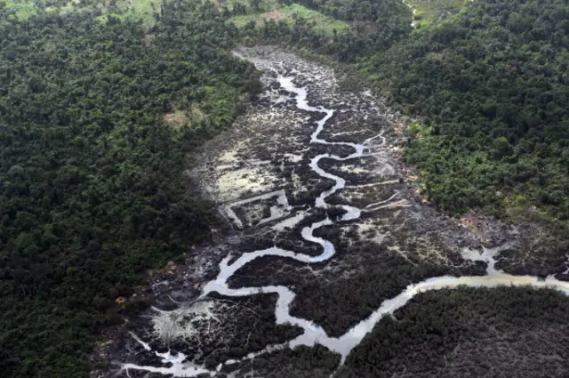 reeks and vegetations devastated as a result of spills from oil thieves in the Niger Delta on March 22, 2013