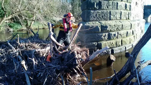 Trees being removed from river