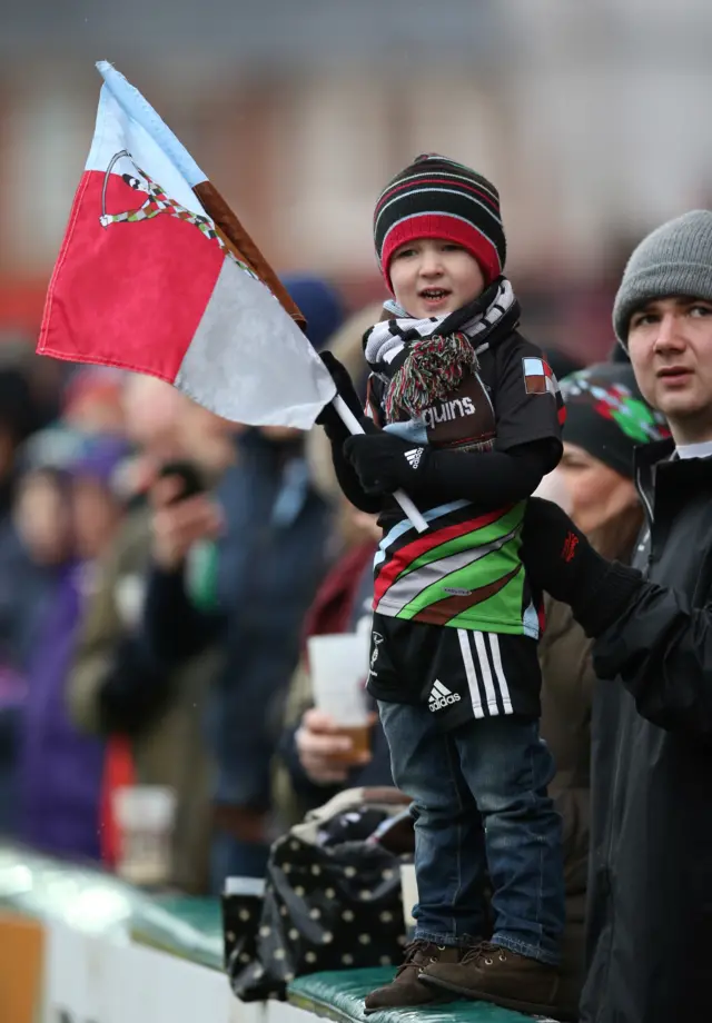 A young Harlequins fan watches play