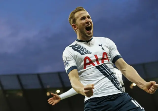 Harry Kane celebrates