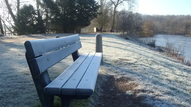 A frosty bench in Trentham