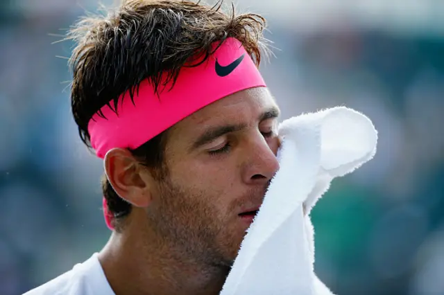 Juan Martin del Potro