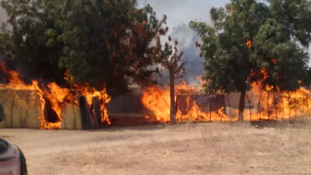 Boko Haram camps