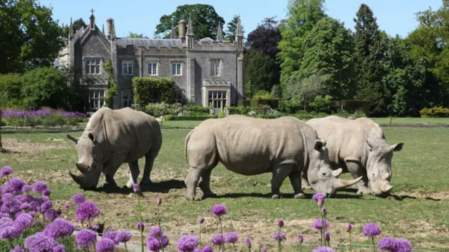 Cotswold Wildlife Park