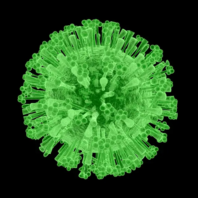 H1N1 virus