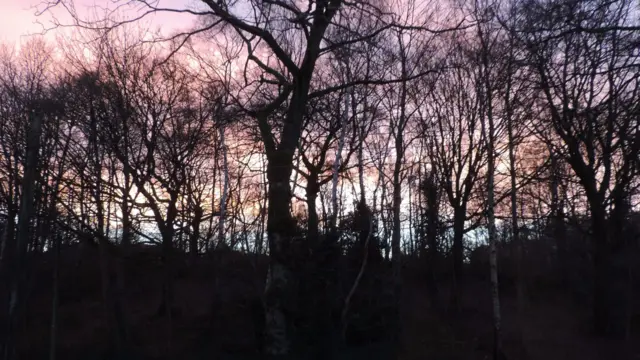 Winter dawn in Leek