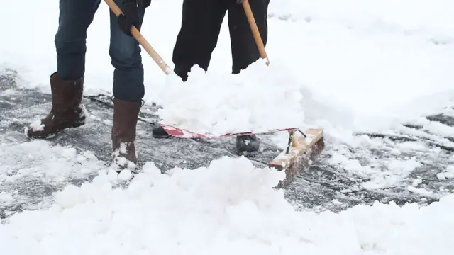 Fans clear the snow