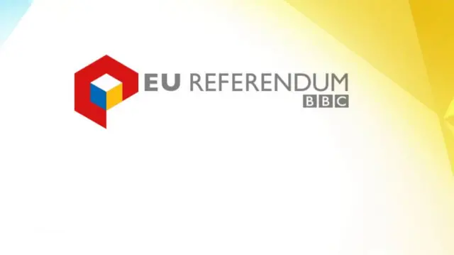 EU Referendum branding