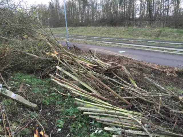 Broken fence