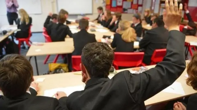 Pupil raising his hand in classroom