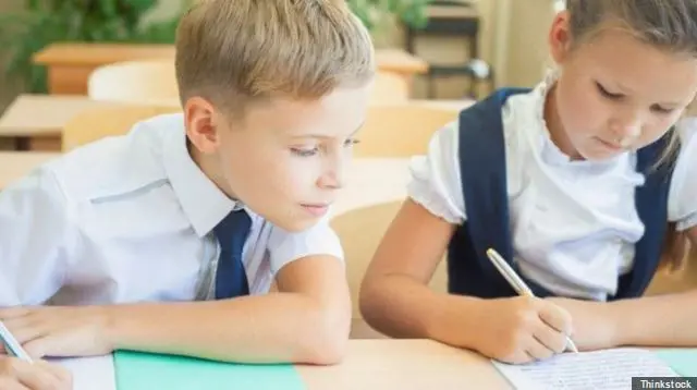 Two primary pupils studying