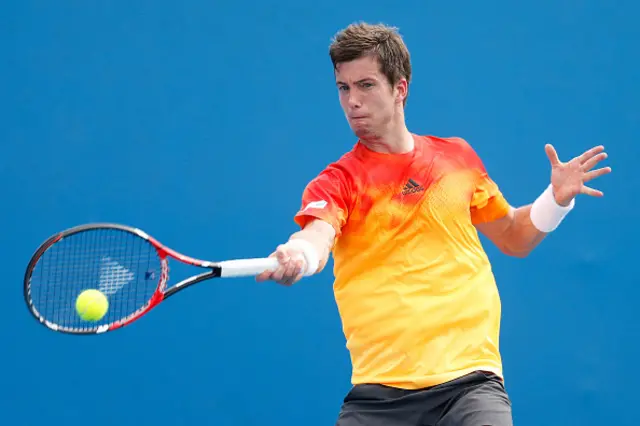 Aljaz Bedene