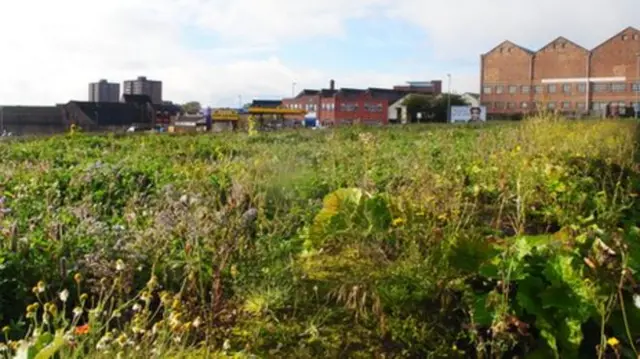 Scottish Greens propose a tax on derelict and vacant land