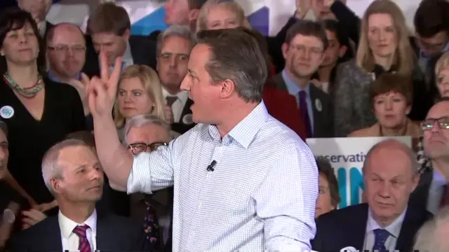 David Cameron at EU rally