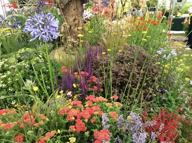 Floral Marquee at RHS