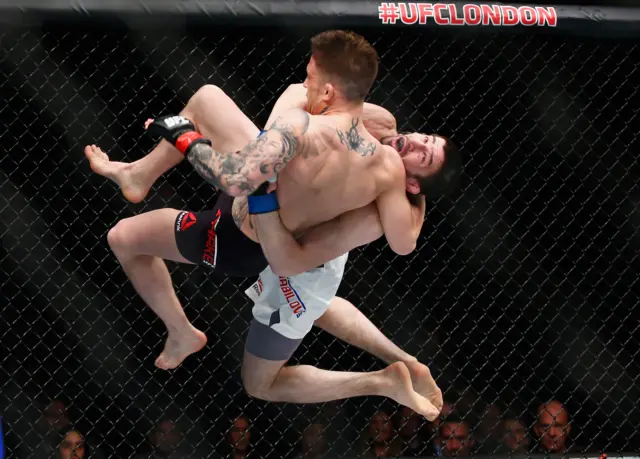 Norman Parke fight