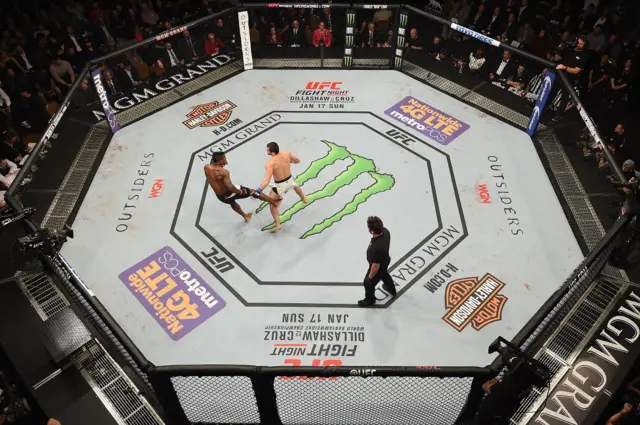 UFC Octagon