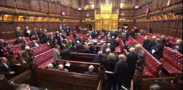 Peers file out of the House of Lords to register their votes in the 'content' and 'not content' lobbies at the side of the chamber