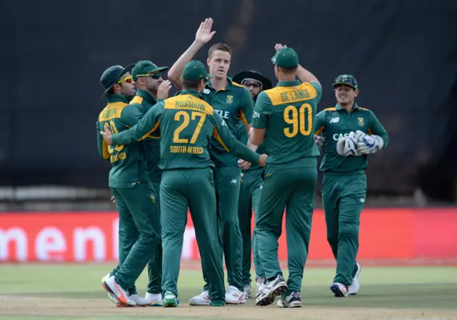 South Africa's players celebrate the wicket of Jason Roy