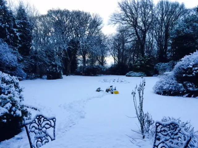 Snow in Carlecotes near Penistone