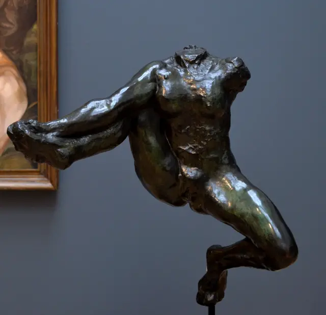 Rodin's Iris