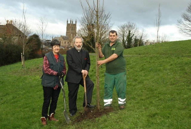 Tree planting