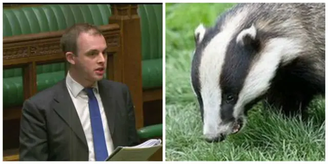 Matt Warman and a badger