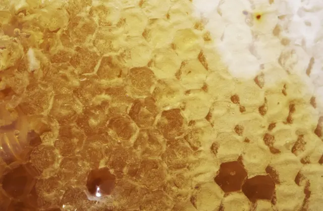 Manuka honey