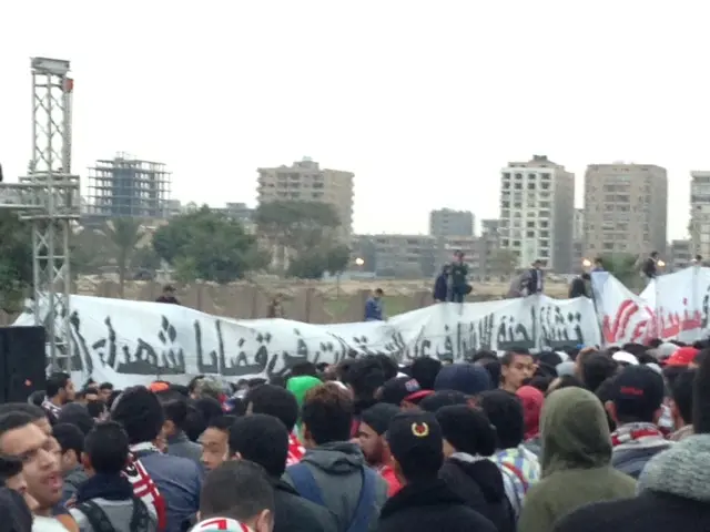 zamalek fans in cairo