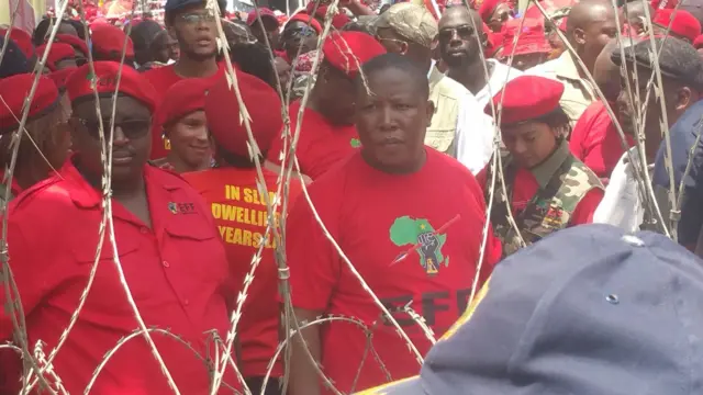 Julius Malema among protesters